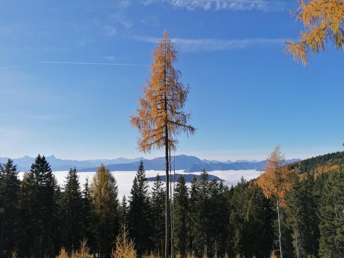Gerlitzen Paul Im Ski- Und Wandergebiet, Kanzelhoehe, Ossiacher Apartment *